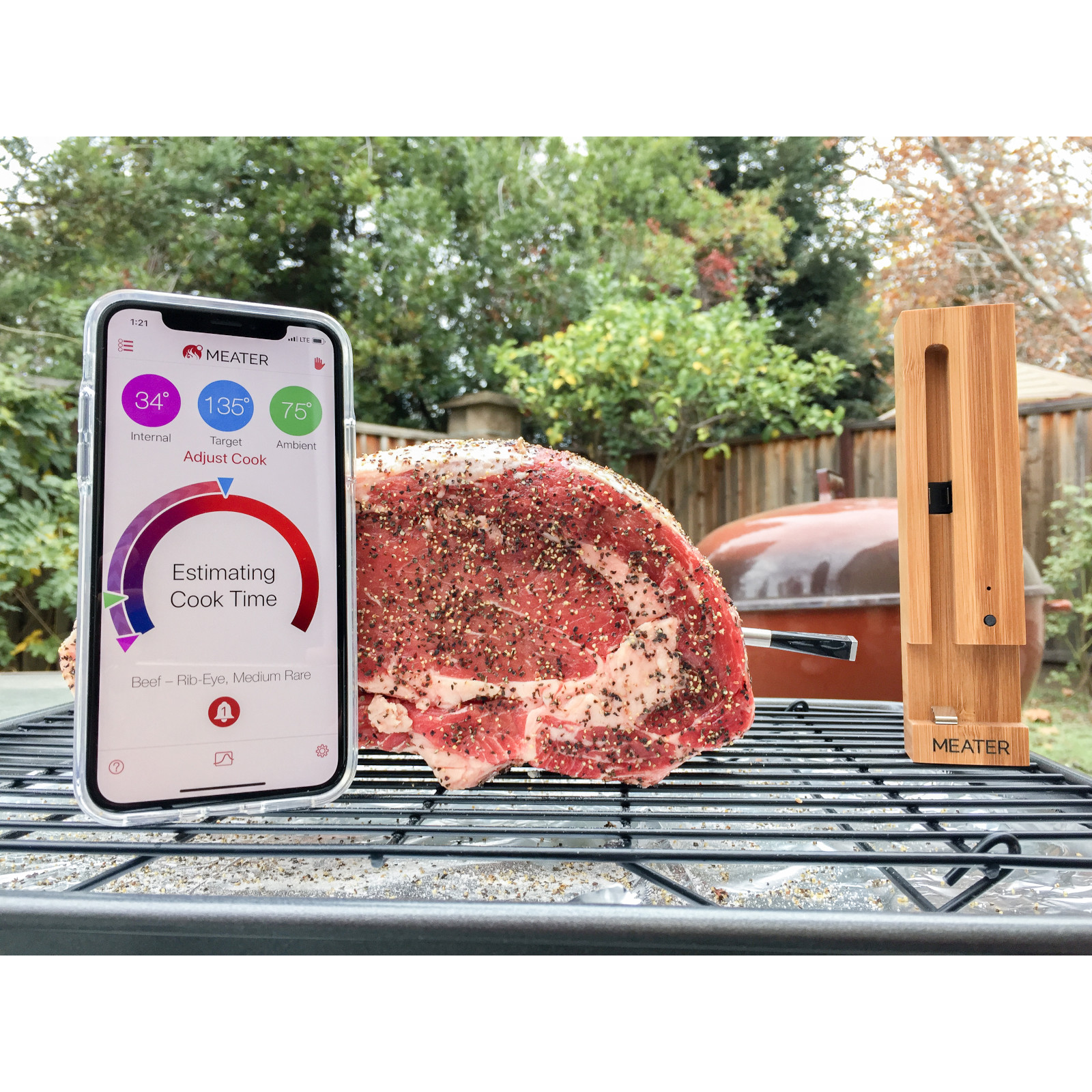Meater Plus bezdratová sonda Bluetooth