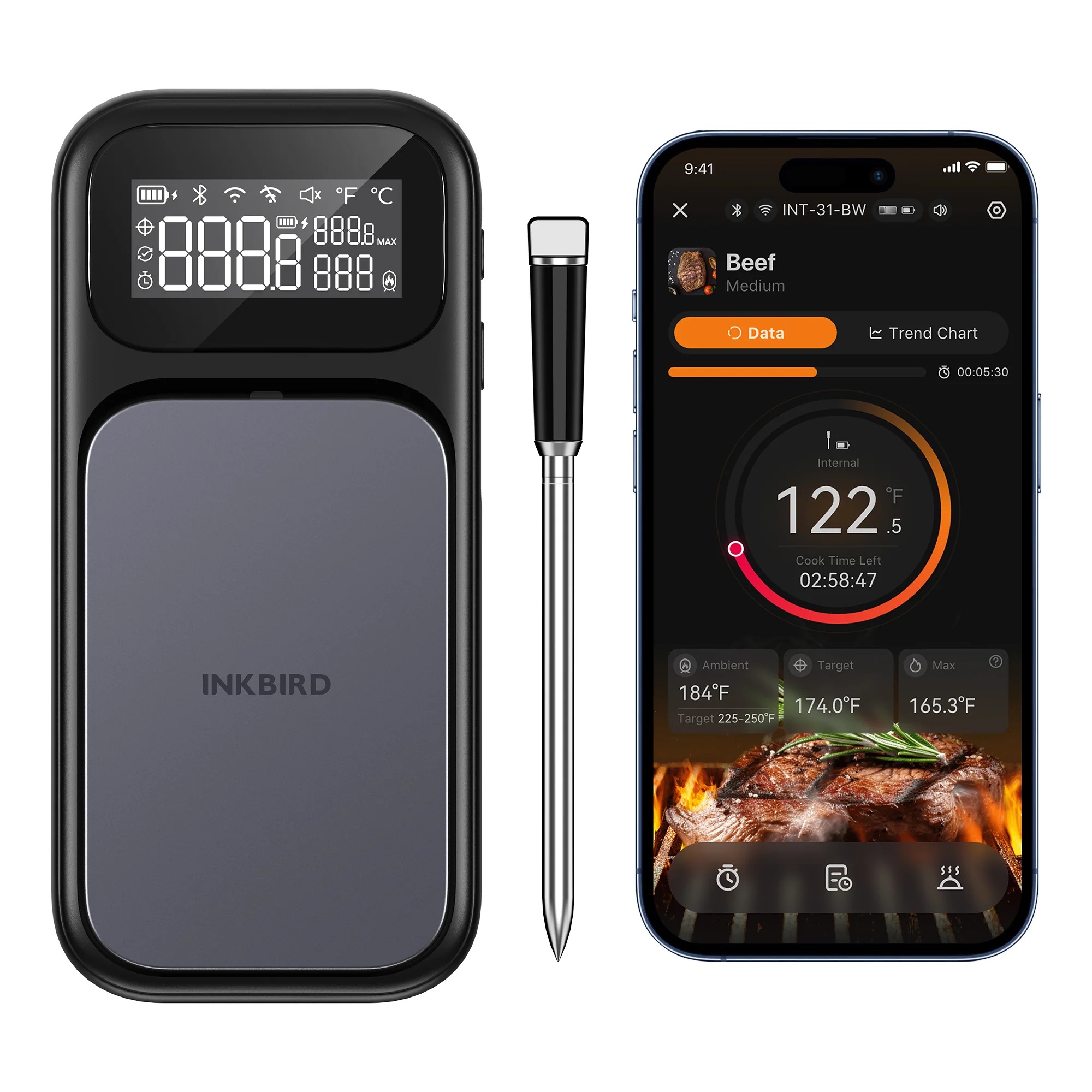 Inkbird bezdrátový teploměr na maso 1 sonda Wifi-Bluetooth 100m INT-31-BW Multisensor