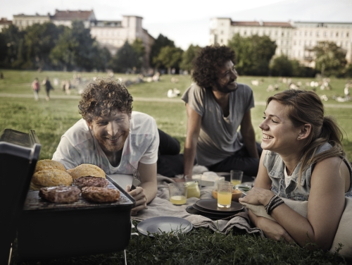 Weber Gril Go Anywhere na dřevěné uhlí, černý, 1131004
