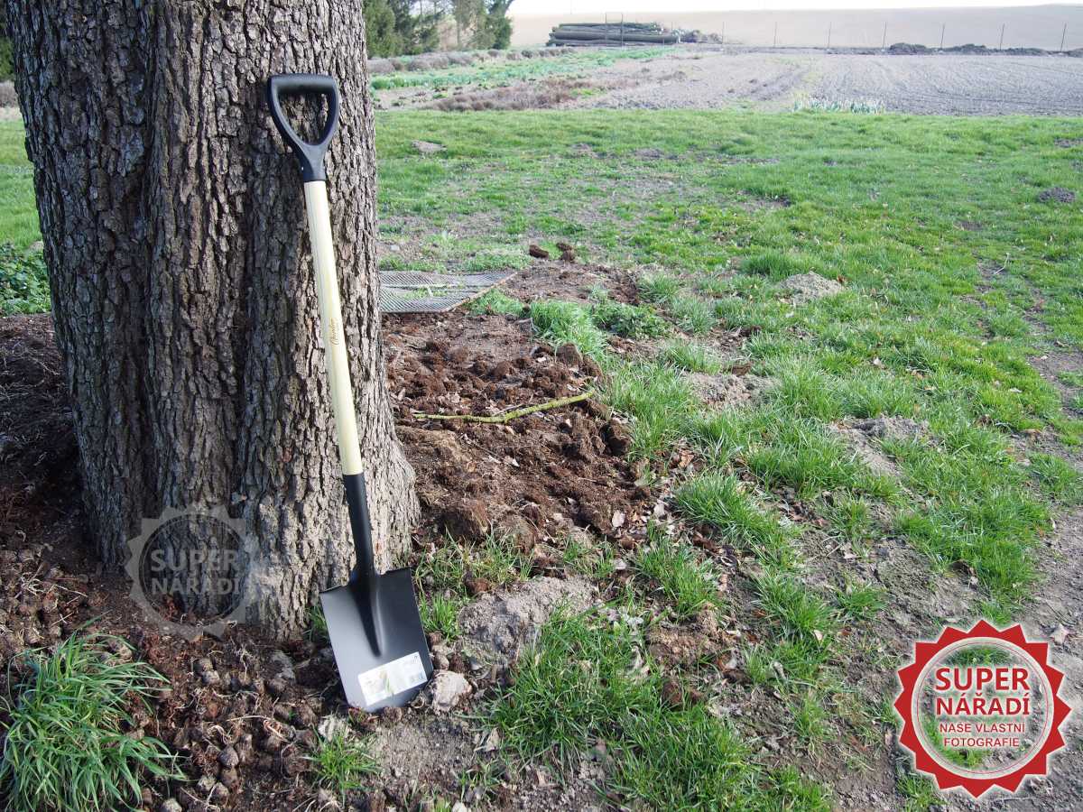 Rýč 120 cm Dedra 80C003 špičatý s dřevěnou násadou, madlo plast