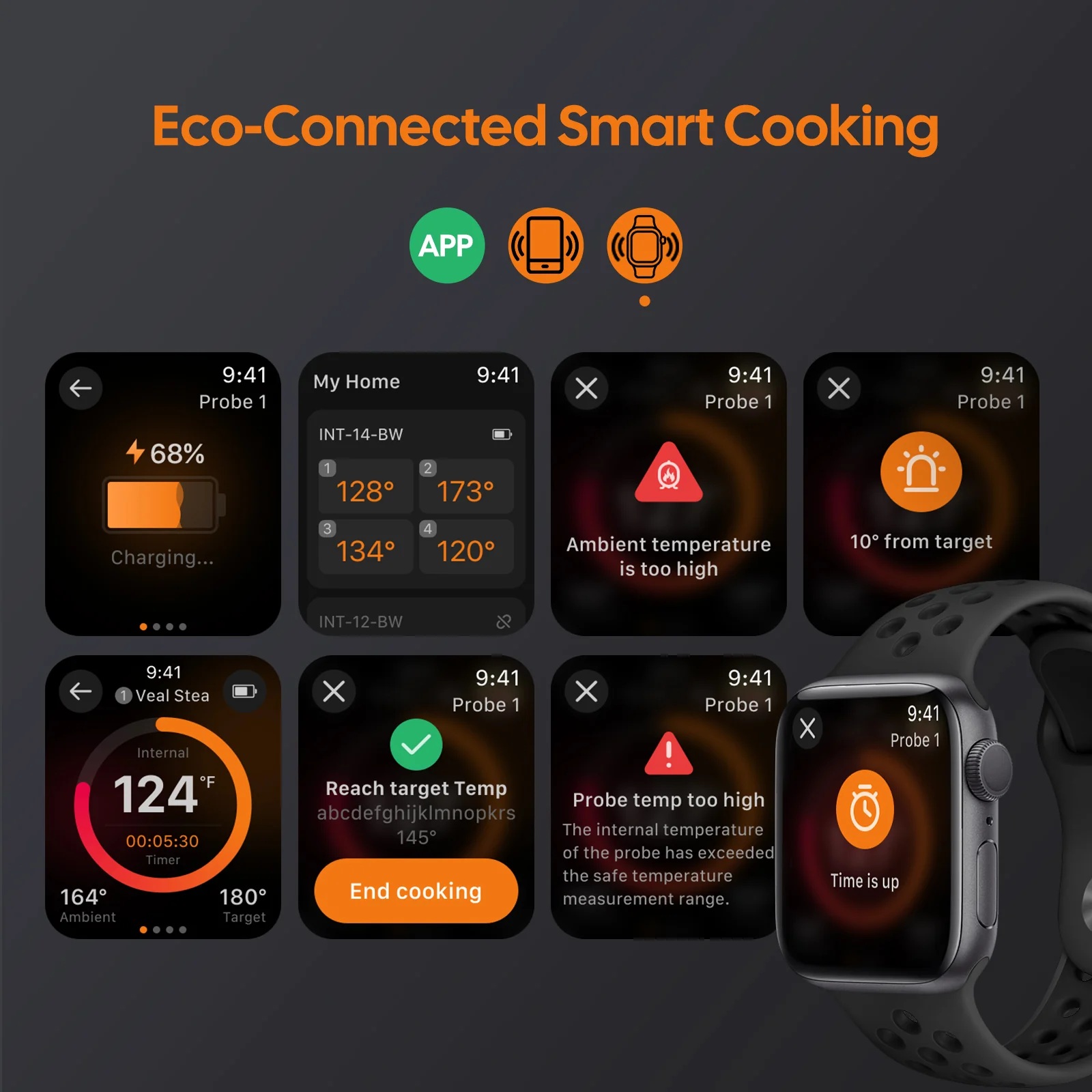 Inkbird bezdrátový teploměr na maso 2 sondy Wifi-Bluetooth 300m INT-12E-BW Multisensor