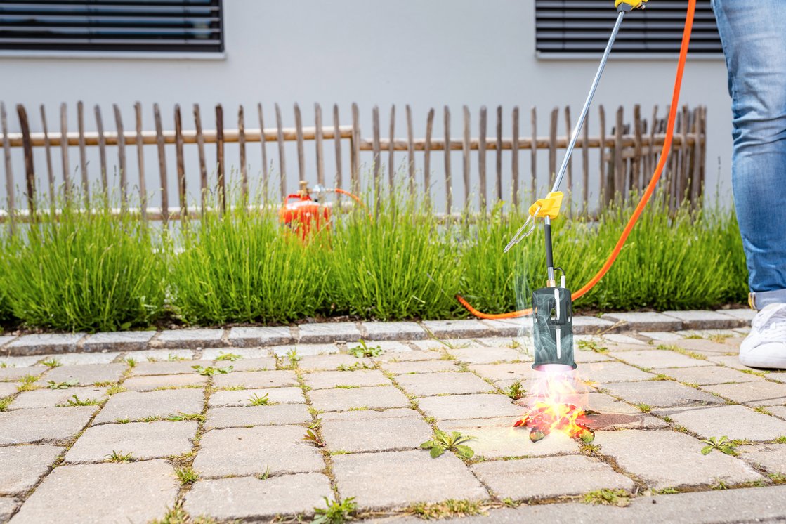 GLORIA 000274.0000 Thermoflamm Professional E+ Turbo – Výkonný vypalovač plevele na velké plochy s piezo zapalováním, hadice, regulátor