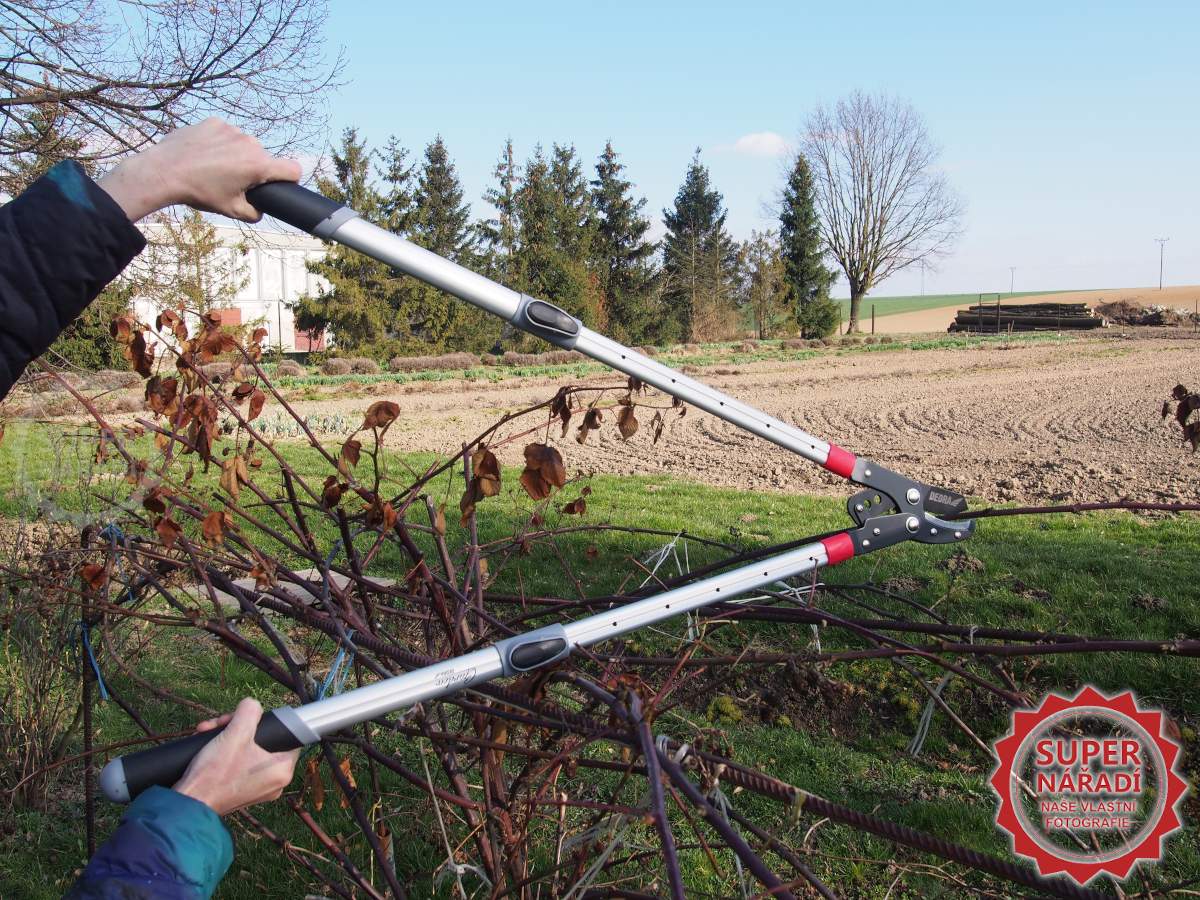 Kovadlinkové zahradnické nůžky Dedra 80A031 na suché větve, teleskopické, převodované