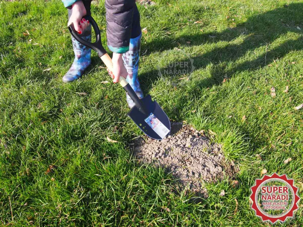Mini rýč - lopatka 68 cm Dedra 80C001 s dřevěnou násadou, špičatý