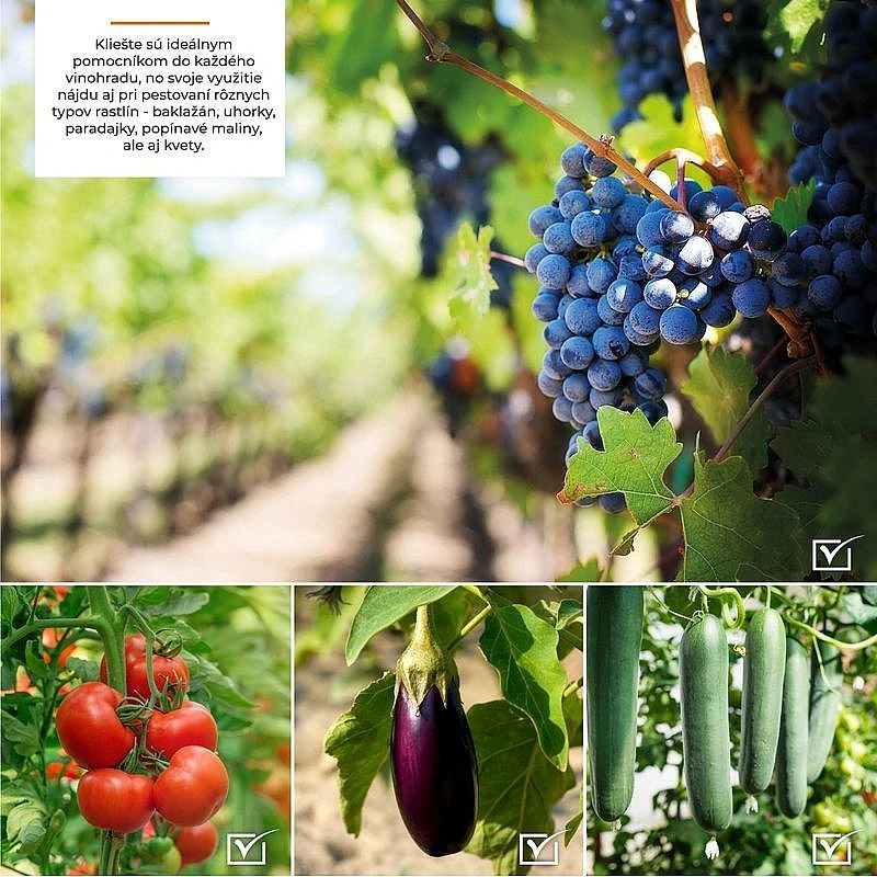 Strend Pro Sponky Cameleon SA502, 10000ks 2170325, k vázačce na výhonky