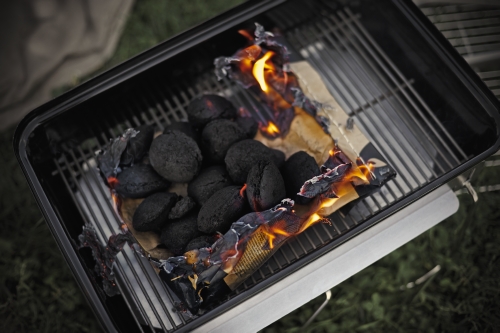 Weber Gril Go Anywhere na dřevěné uhlí, černý, 1131004