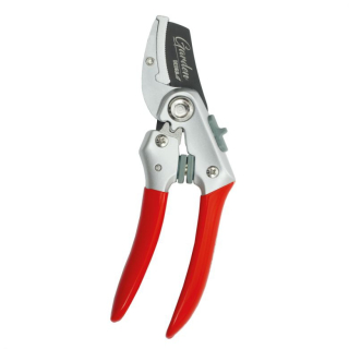 Kovadlinkové zahradnické nůžky 20 cm Dedra 80A010 na suché výhonky