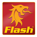 Flash BBQ logo
