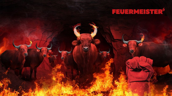 Feuermeister Grilovací rukavice